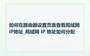 如何在路由器设置页面查看局域网IP地址_局域网 IP 地址如何分配