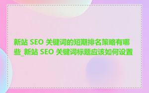 新站 SEO 关键词的短期排名策略有哪些_新站 SEO 关键词标题应该如何设置