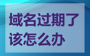 域名过期了该怎么办