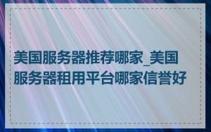 美国服务器推荐哪家_美国服务器租用平台哪家信誉好