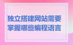 独立搭建网站需要掌握哪些编程语言