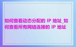 如何查看动态分配的 IP 地址_如何查看所有网络连接的 IP 地址