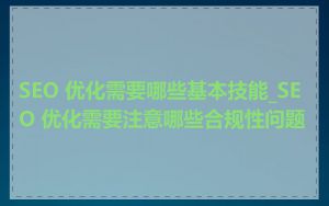 SEO 优化需要哪些基本技能_SEO 优化需要注意哪些合规性问题