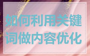 如何利用关键词做内容优化