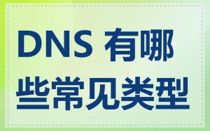 DNS 有哪些常见类型