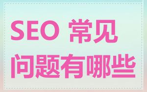 SEO 常见问题有哪些