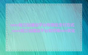 saas独立站建站平台有哪些支付方式_saas独立站建站平台如何做seo优化