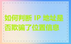 如何判断 IP 地址是否欺骗了位置信息