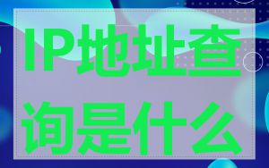 IP地址查询是什么