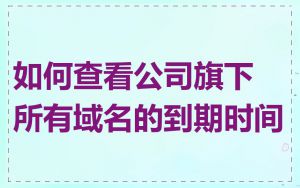如何查看公司旗下所有域名的到期时间