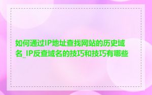 如何通过IP地址查找网站的历史域名_IP反查域名的技巧和技巧有哪些