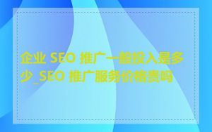 企业 SEO 推广一般投入是多少_SEO 推广服务价格贵吗