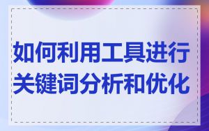 如何利用工具进行关键词分析和优化