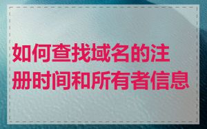 如何查找域名的注册时间和所有者信息