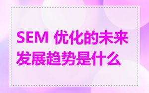SEM 优化的未来发展趋势是什么