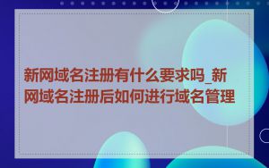 新网域名注册有什么要求吗_新网域名注册后如何进行域名管理