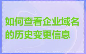 如何查看企业域名的历史变更信息