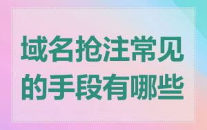 域名抢注常见的手段有哪些