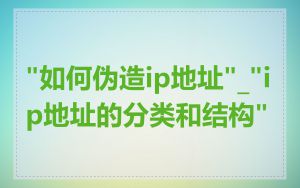 "如何伪造ip地址"_"ip地址的分类和结构"