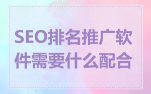 SEO排名推广软件需要什么配合