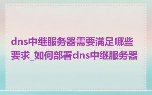 dns中继服务器需要满足哪些要求_如何部署dns中继服务器