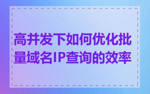 高并发下如何优化批量域名IP查询的效率