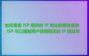 如何查看 ISP 提供的 IP 地址的相关信息_ISP 可以强制用户使用指定的 IP 地址吗