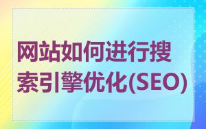 网站如何进行搜索引擎优化(SEO)