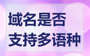 域名是否支持多语种