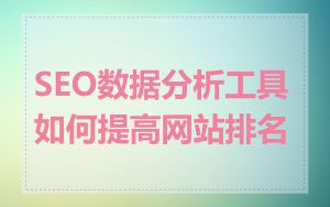 SEO数据分析工具如何提高网站排名