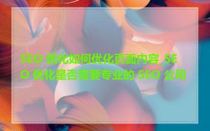 SEO 优化如何优化页面内容_SEO 优化是否需要专业的 SEO 公司