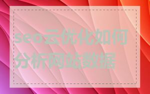 seo云优化如何分析网站数据