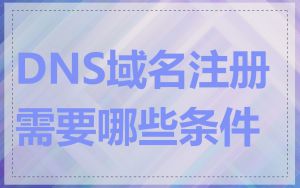 DNS域名注册需要哪些条件