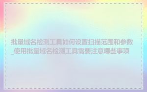 批量域名检测工具如何设置扫描范围和参数_使用批量域名检测工具需要注意哪些事项