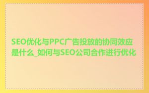 SEO优化与PPC广告投放的协同效应是什么_如何与SEO公司合作进行优化