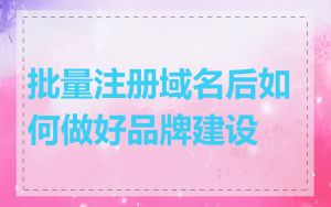 批量注册域名后如何做好品牌建设