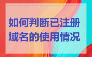 如何判断已注册域名的使用情况