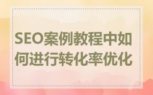 SEO案例教程中如何进行转化率优化
