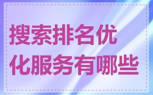搜索排名优化服务有哪些