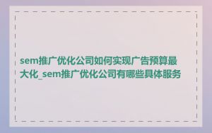 sem推广优化公司如何实现广告预算最大化_sem推广优化公司有哪些具体服务