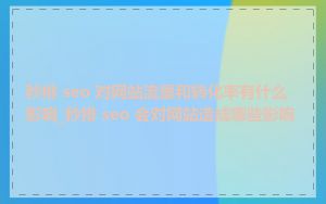 秒排 seo 对网站流量和转化率有什么影响_秒排 seo 会对网站造成哪些影响