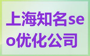 上海知名seo优化公司