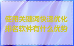 使用关键词快速优化排名软件有什么优势