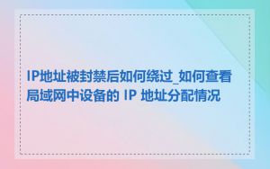 IP地址被封禁后如何绕过_如何查看局域网中设备的 IP 地址分配情况