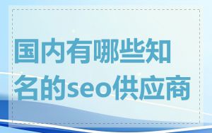 国内有哪些知名的seo供应商