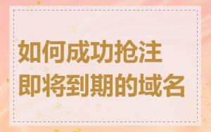 如何成功抢注即将到期的域名