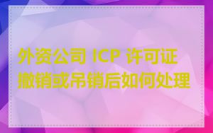 外资公司 ICP 许可证撤销或吊销后如何处理