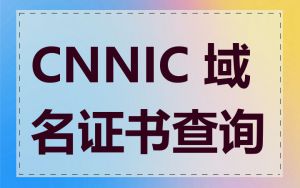 CNNIC 域名证书查询