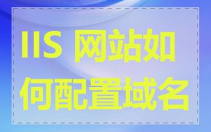 IIS 网站如何配置域名
