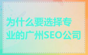 为什么要选择专业的广州SEO公司